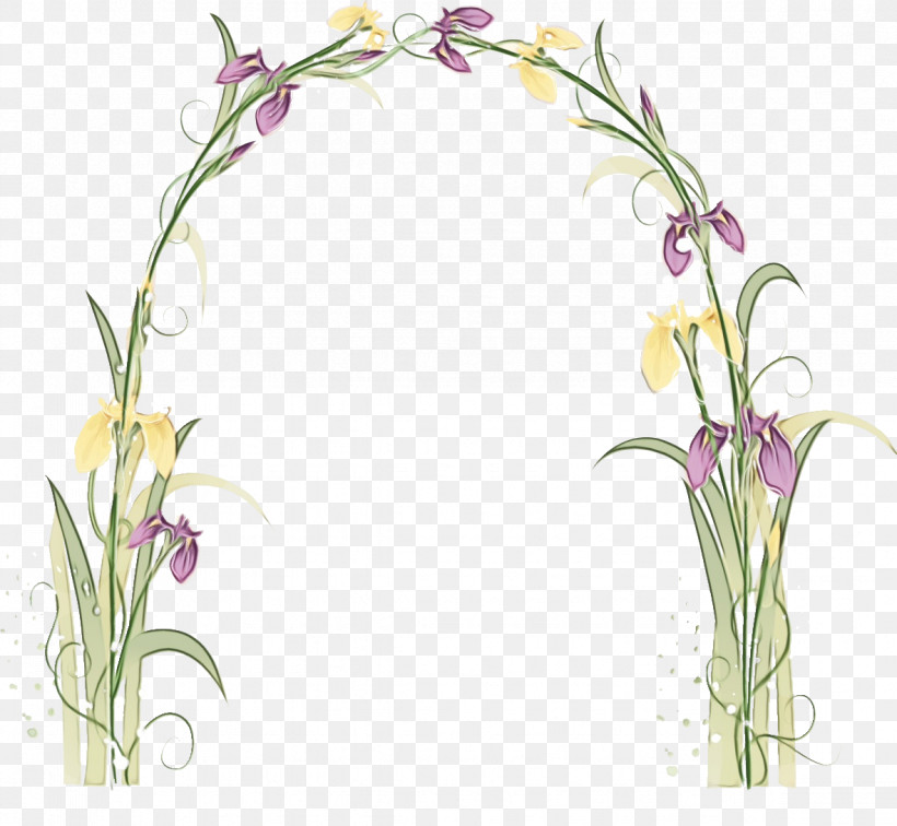 Flower Plant Bellflower Bellflower Family, PNG, 1181x1090px, Flower Frame, Bellflower, Bellflower Family, Floral Frame, Flower Download Free