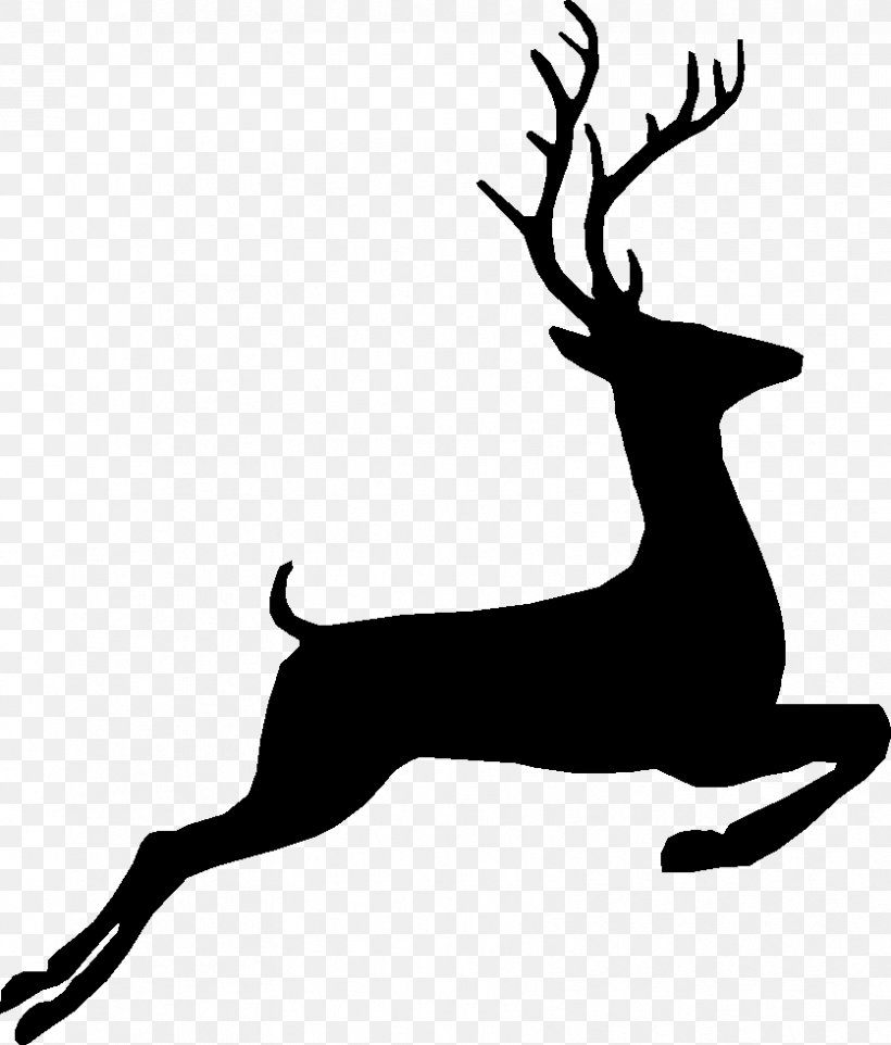 White-tailed Deer Reindeer Wolf Moose, PNG, 836x981px, Whitetailed Deer, Antler, Canidae, Deer, Deer Hunting Download Free