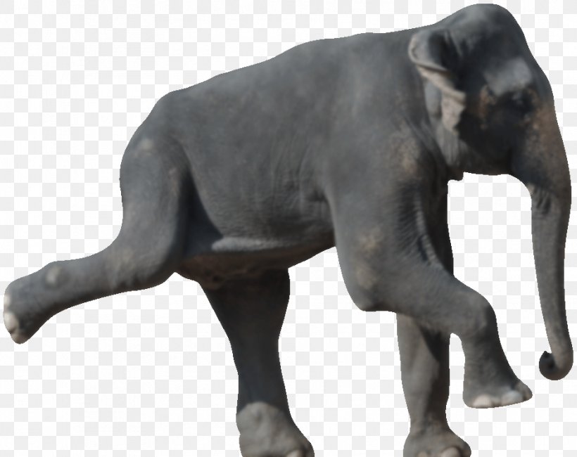 Indian Elephant African Elephant Die 50 Besten Bewegungsspiele Für Senioren Wildlife Terrestrial Animal, PNG, 939x745px, Indian Elephant, African Elephant, Animal, Elephant, Elephants And Mammoths Download Free
