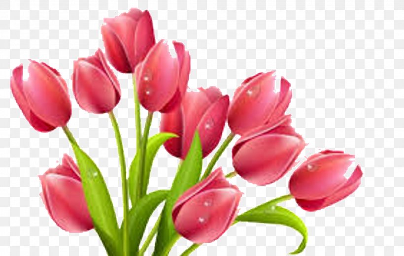 Pink Flowers Clip Art, PNG, 1920x1219px, Flower, Bud, Cut Flowers, Floral Design, Floristry Download Free