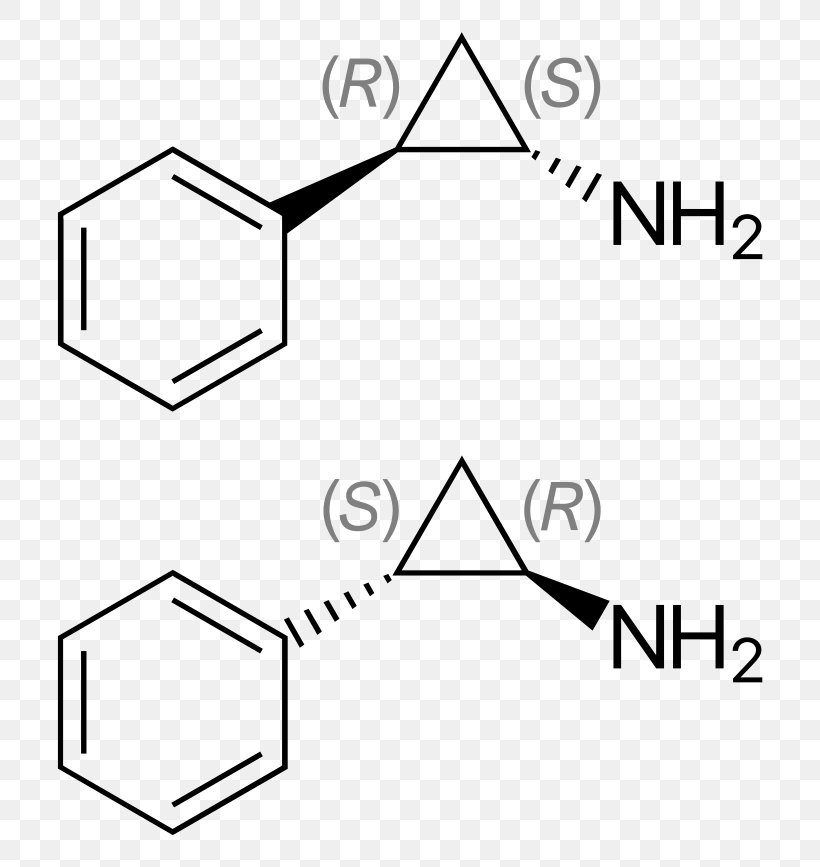 Tranylcypromine Amphetamine Monoamine Oxidase Inhibitor Stimulant Dopamine, PNG, 768x867px, Tranylcypromine, Adderall, Amphetamine, Antidepressant, Area Download Free