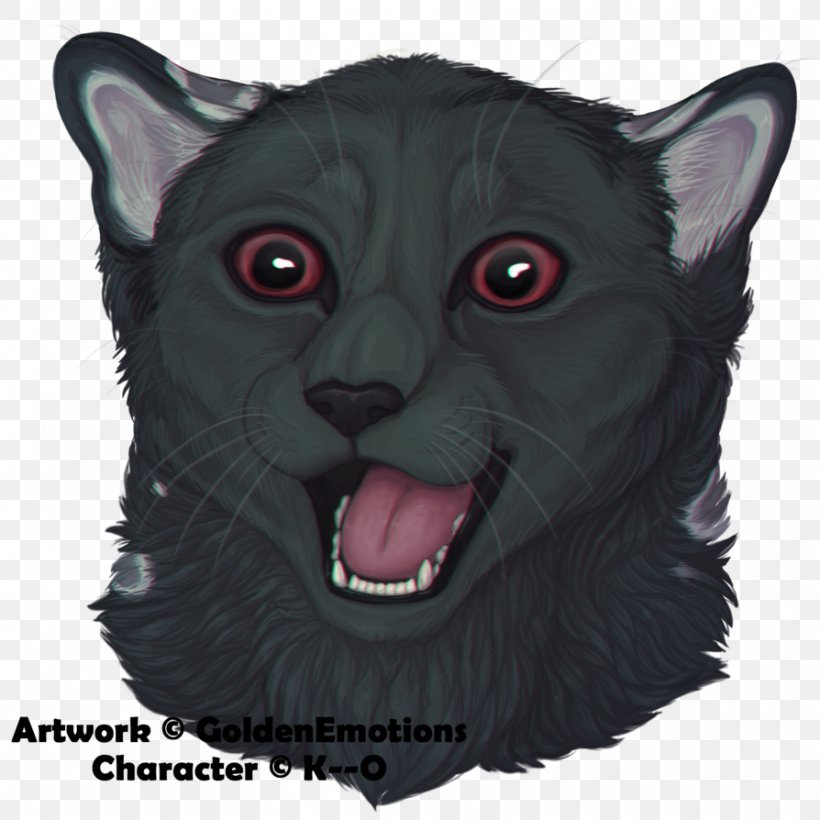 Whiskers Korat Fur Snout Character, PNG, 894x894px, Whiskers, Black Cat, Carnivoran, Cat, Cat Like Mammal Download Free