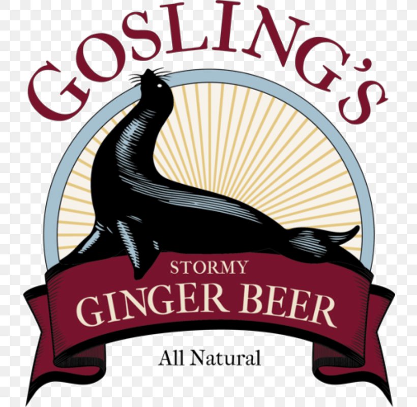 Ginger Beer Fizzy Drinks Dark 'N' Stormy Rum, PNG, 734x800px, Ginger Beer, Advertising, Anheuserbusch, Beer, Beer Brewing Grains Malts Download Free