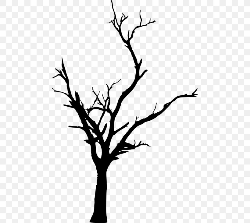 Twig Tree Branch Clip Art, PNG, 480x732px, Twig, Black And White, Branch, Death, Flora Download Free