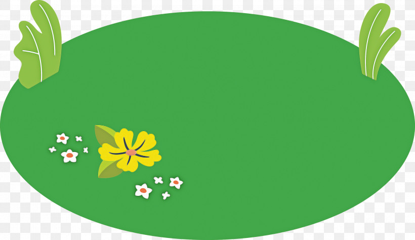 Fern, PNG, 2999x1737px, Leaf, Branch, Circle, Fern, Flower Download Free