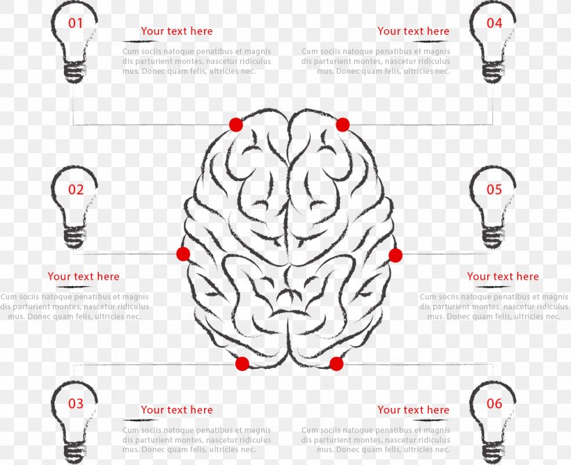 Human Brain Agy Infographic Euclidean Vector, PNG, 1329x1084px, Watercolor, Cartoon, Flower, Frame, Heart Download Free