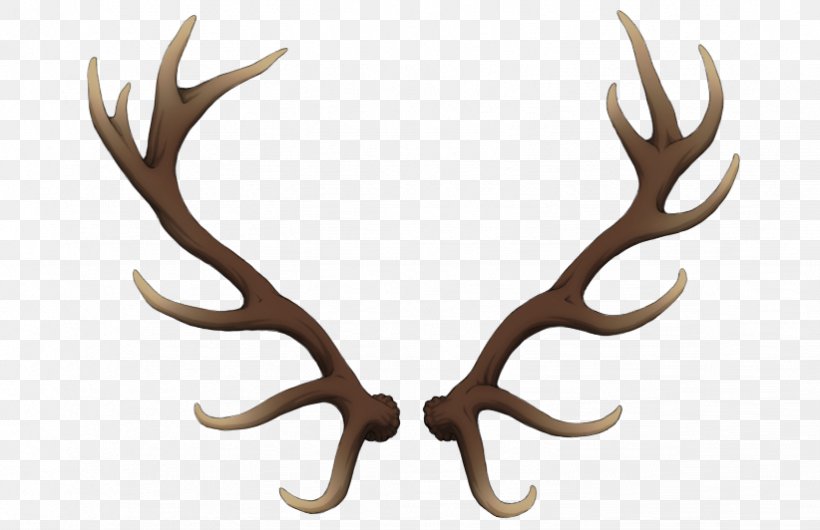 Reindeer Antler Elk Horn, PNG, 822x532px, Deer, Animal, Antler, Cell, Elk Download Free