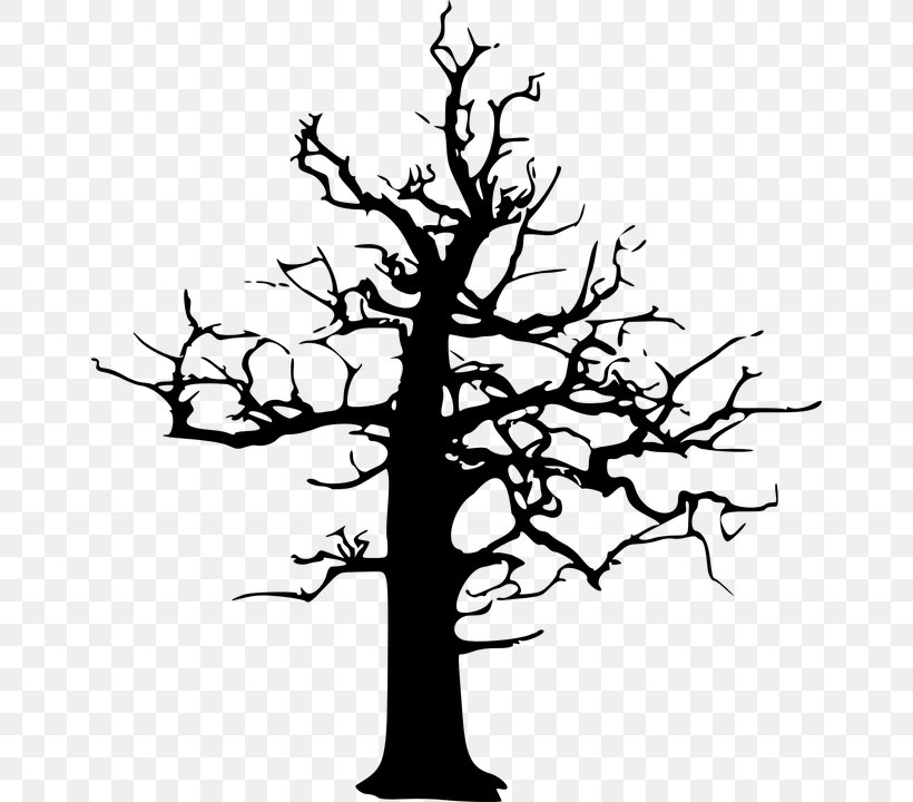 Tree Clip Art, PNG, 656x720px, Tree, Black And White, Branch, Christmas Tree, Drawing Download Free