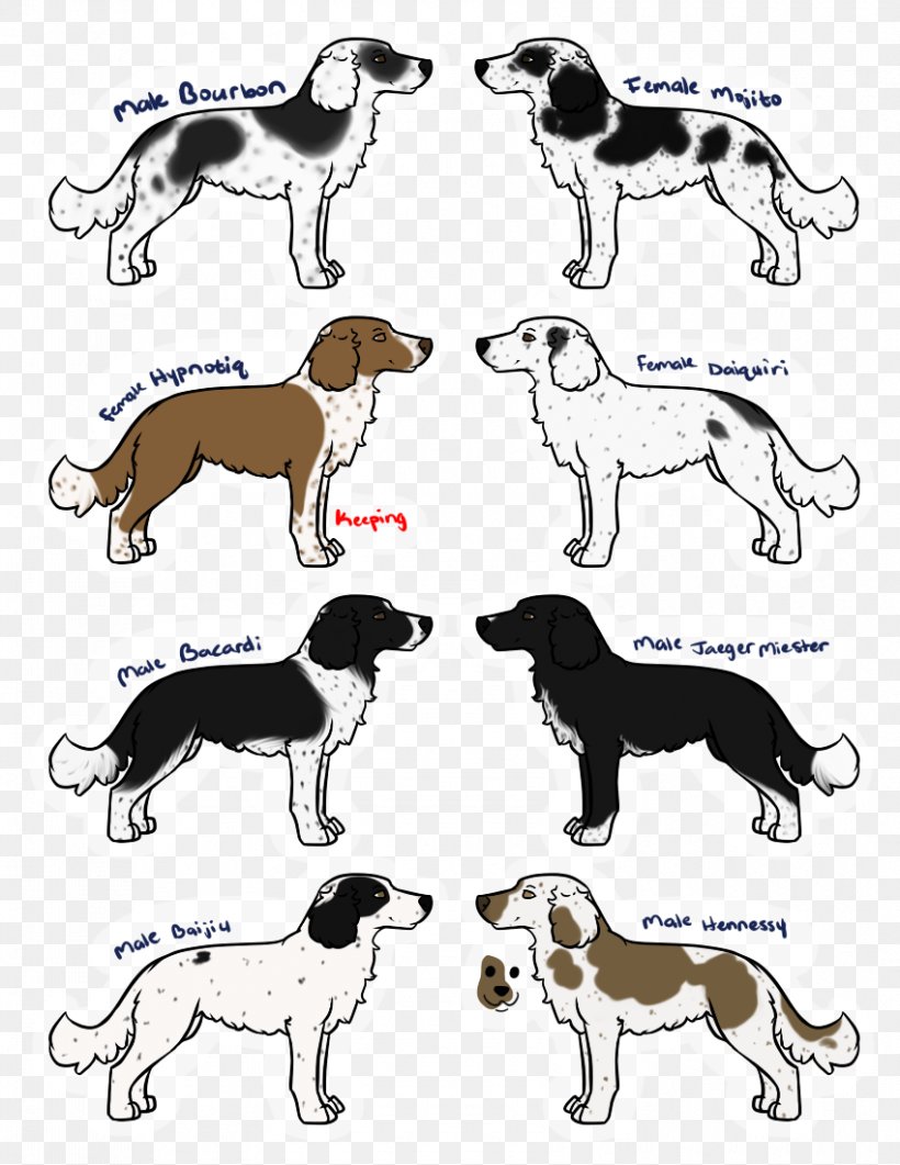 Whippet Italian Greyhound Sloughi Saluki Spanish Greyhound, PNG, 850x1100px, Whippet, Animal, Animal Figure, Borzoi, Breed Download Free