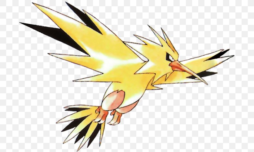 Zapdos Moltres Articuno Legendary Bird Trio Electric, PNG, 704x489px, Zapdos, Articuno, Bird, Bird Of Paradise, Electric Download Free