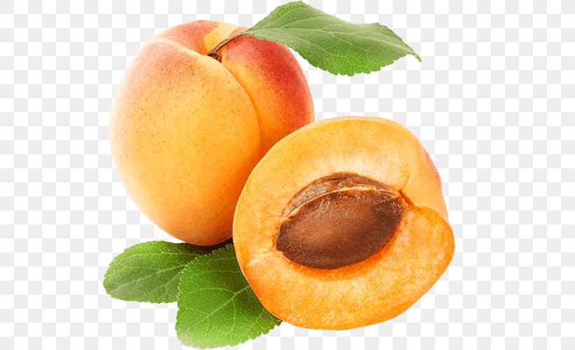 Apricot Fruit Clip Art, PNG, 600x499px, Apricot, Diet Food, Dried Apricot, Food, Fruit Download Free