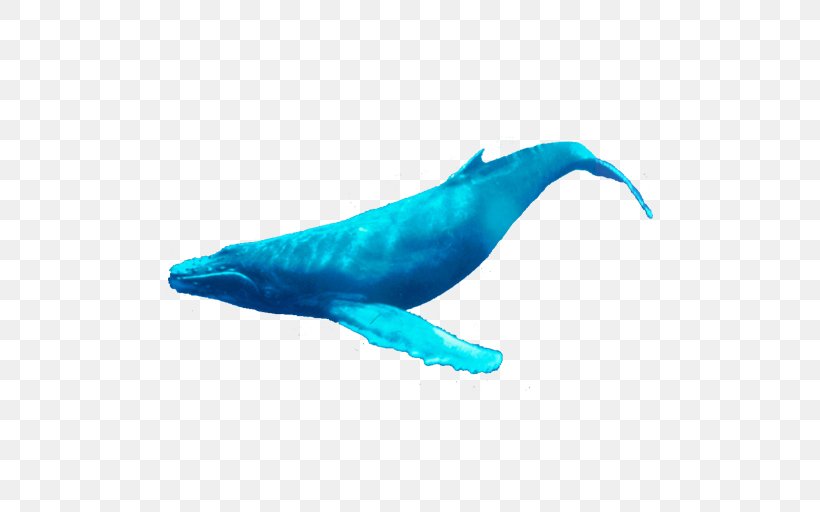 Dolphin Porpoise Cetacea Humpback Whale Tail, PNG, 512x512px, Dolphin, Aqua, Beak, Bumper, Bumper Sticker Download Free