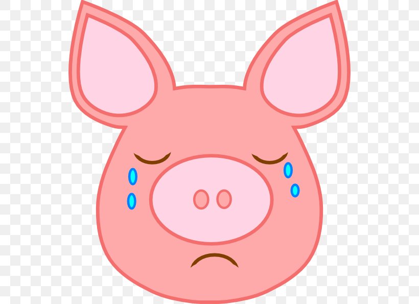 Pig Clip Art, PNG, 552x595px, Pig, Bing Images, Cheek, Clothing, Face Download Free