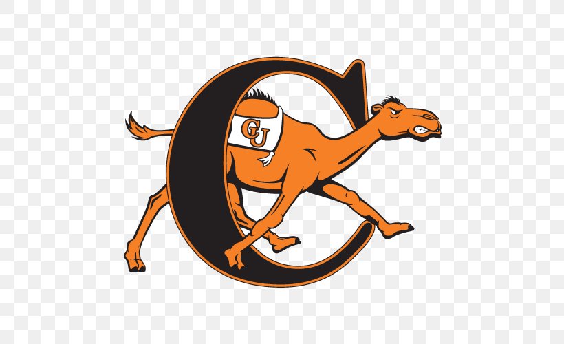 Campbell University Campbell Fighting Camels Men's Basketball Campbell Fighting Camels Women's Basketball Longwood University Campbell Fighting Camels Football, PNG, 500x500px, Campbell University, Area, Artwork, Big South Conference, Buies Creek Download Free