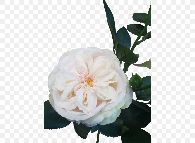 Cut Flowers Garden Roses Centifolia Roses Floral Design, PNG, 800x600px, Flower, Artificial Flower, Centifolia Roses, Cut Flowers, Floral Design Download Free