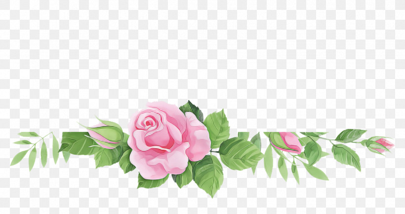 Floral Design, PNG, 1748x924px, Floral Design, Cabbage Rose, Cut Flowers, Flora, Flower Download Free