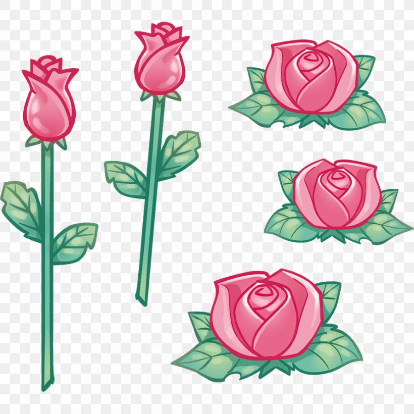 Garden Roses Cabbage Rose Cut Flowers Sticker, PNG, 892x892px, Garden Roses, Adhesive, Bud, Cabbage Rose, Child Download Free