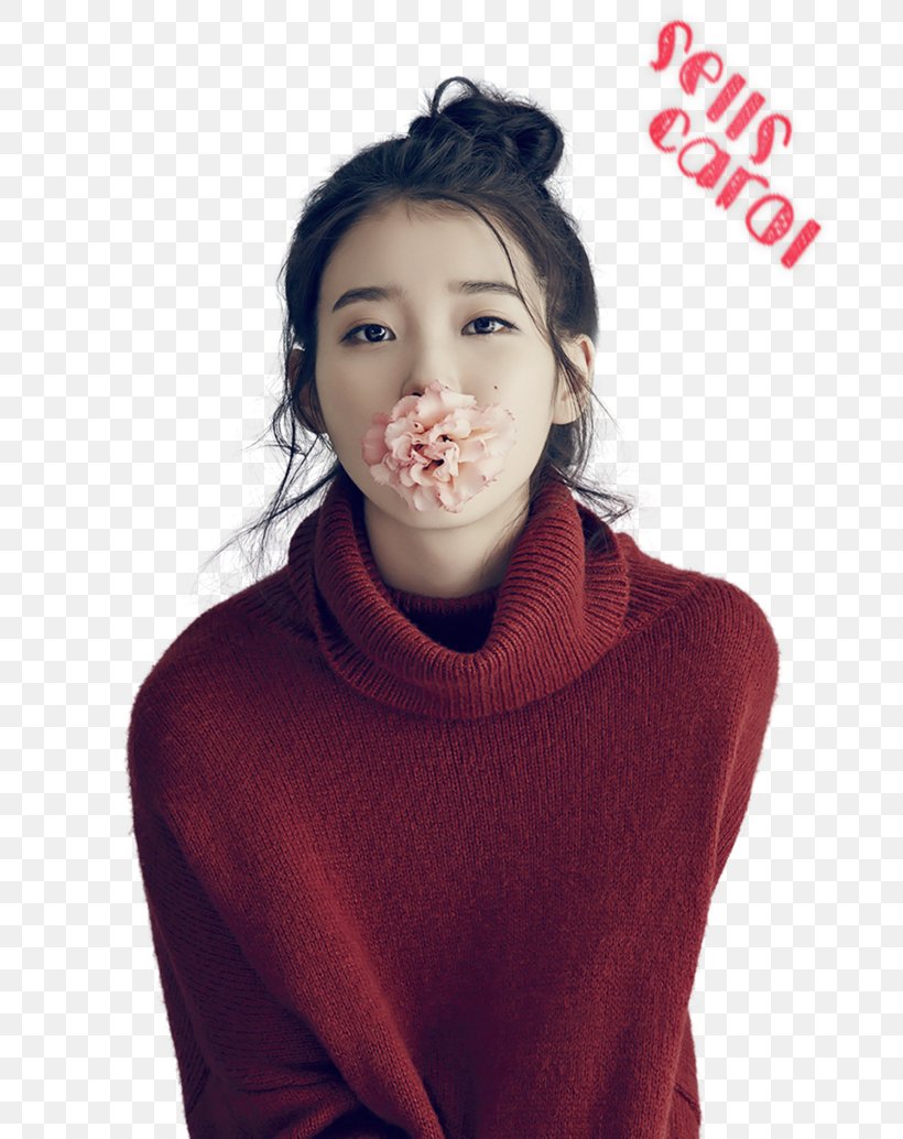 IU South Korea K-pop Korean Female, PNG, 772x1034px, Watercolor, Cartoon, Flower, Frame, Heart Download Free