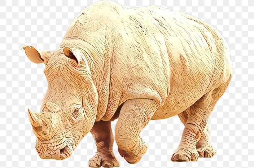 White Rhinoceros Cat Dog Paws 4 Africa, PNG, 686x542px, Rhinoceros, Animal, Animal Figure, Black Rhinoceros, Box Download Free