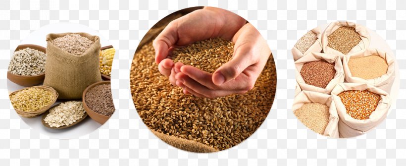 Whole Grain Superfood Commodity Export, PNG, 940x385px, Whole Grain, Commodity, Export, Food, Grain Download Free