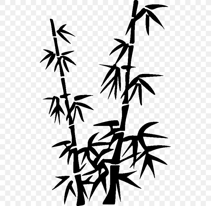 Bamboo Tree, PNG, 800x800px, Bamboo, Blackandwhite, Branch, Decal, Flower Download Free