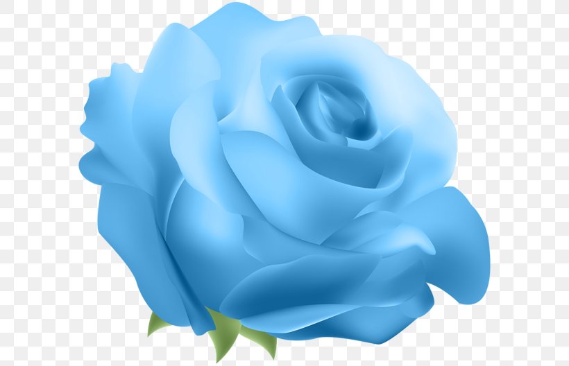 Blue Rose Flower Clip Art, PNG, 600x528px, Rose, Blue, Blue Rose, Close Up, Cut Flowers Download Free