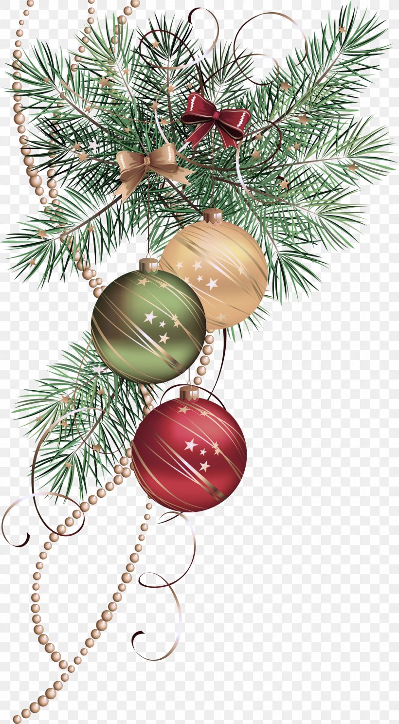 Christmas Ornament, PNG, 1800x3268px, Christmas Ornament, Branch, Christmas, Christmas Decoration, Christmas Tree Download Free
