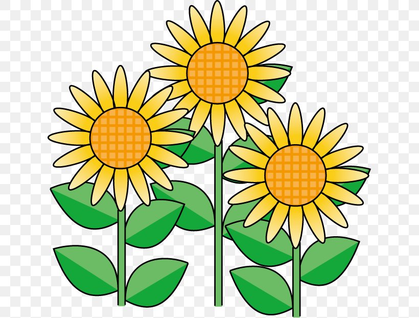 Common Sunflower Cut Flowers Clip Art, PNG, 633x622px, Common Sunflower, Artwork, Cut Flowers, Daisy, Daisy Family Download Free