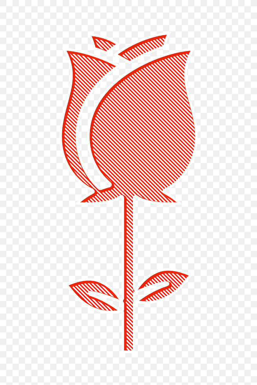 Rose Icon Blossoms Icon Flower Icon, PNG, 532x1228px, Rose Icon, Biology, Flower Icon, Geometry, Leaf Download Free