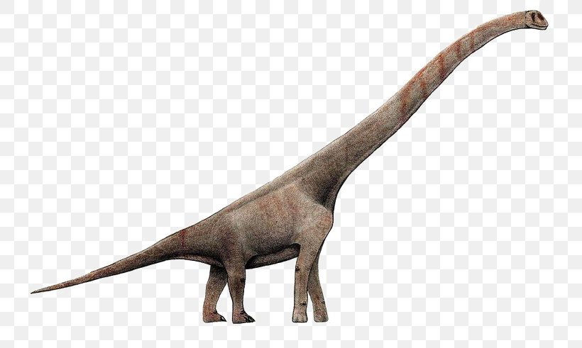 Sauroposeidon Brachiosaurus Giraffatitan Europasaurus Abrosaurus, PNG, 768x491px, Sauroposeidon, Abrosaurus, Brachiosaurus, Clash Of The Dinosaurs, Dinosaur Download Free