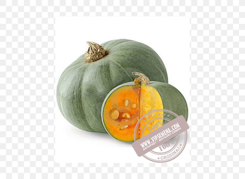 Calabaza Cucurbita Maxima Pumpkin Seed Vegetable, PNG, 450x600px, Calabaza, Cucumber Gourd And Melon Family, Cucurbita, Cucurbita Maxima, Food Download Free