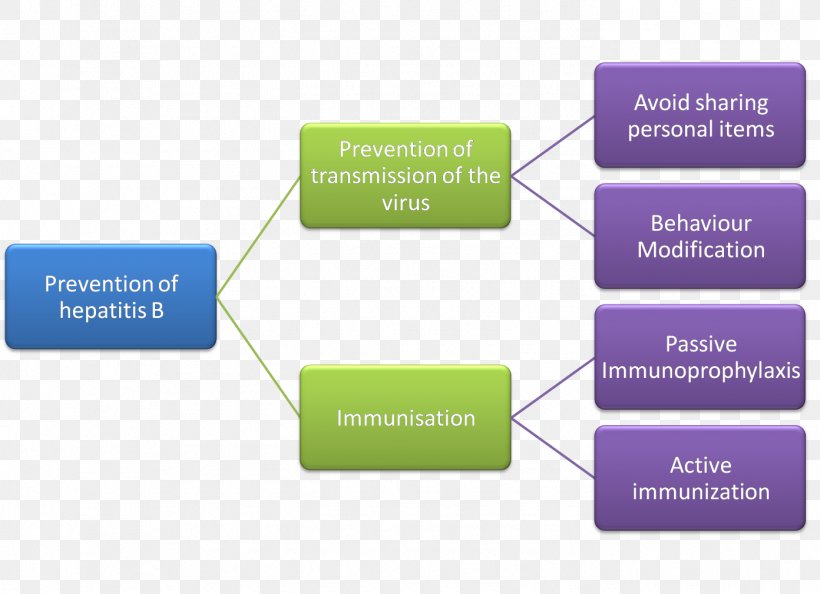 Criminal Law Sources Of Law Algemene Rechtsbeginselen Hepatitis, PNG, 1392x1009px, Criminal Law, Analogy, Brand, Communication, Diagram Download Free