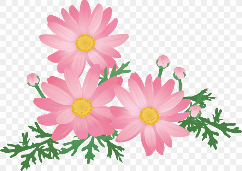 Daisy, PNG, 3000x2124px, Flower, Chamomile, Cut Flowers, Daisy, Marguerite Daisy Download Free