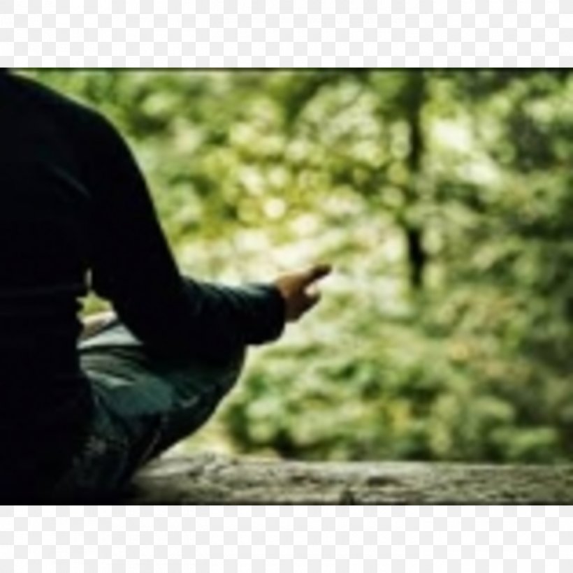 Meditation Buddhism Mindfulness In The Workplaces Vipassanā Mettā, PNG, 1400x1400px, Meditation, Buddhism, Calmness, Daniel Goleman, Grass Download Free
