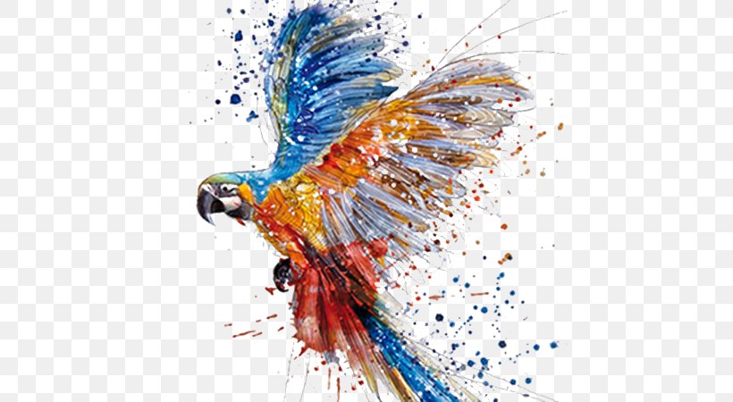 Parrot Watercolor Painting Drawing Art, PNG, 600x450px, Parrot, Art, Art Museum, Artist, Beak Download Free