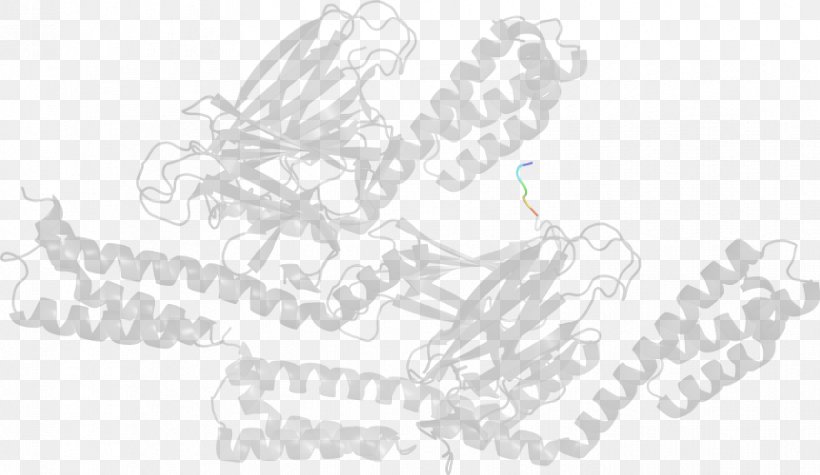 White Line Art, PNG, 862x500px, White, Black, Black And White, Drawing, Hand Download Free