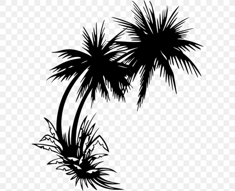 Clip Art Palm Trees Sticker Image, PNG, 600x667px, Palm Trees, Arecales, Attalea Speciosa, Blackandwhite, Borassus Flabellifer Download Free