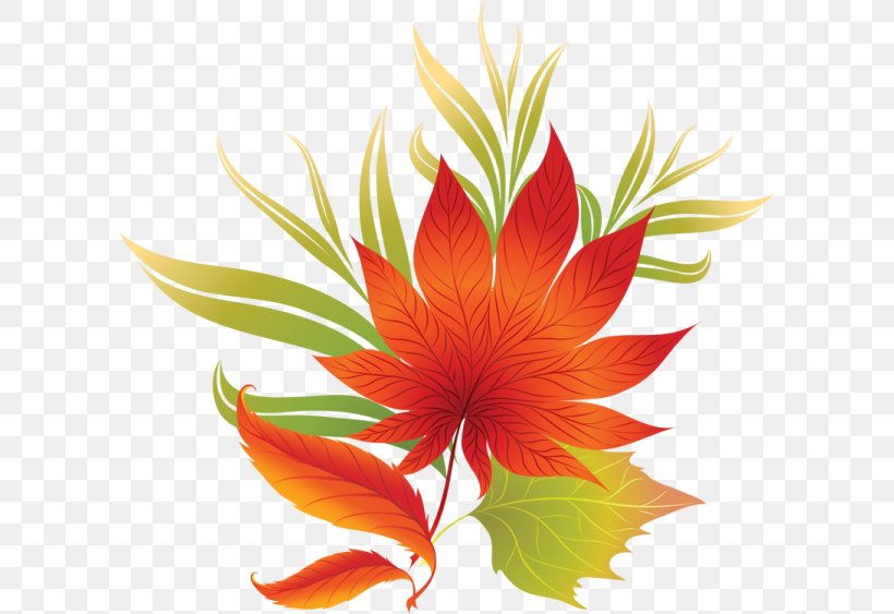 Vector Graphics Illustration Autumn Clip Art Design, PNG, 600x563px, Autumn, Botany, Flower, Flowering Plant, Herbaceous Plant Download Free