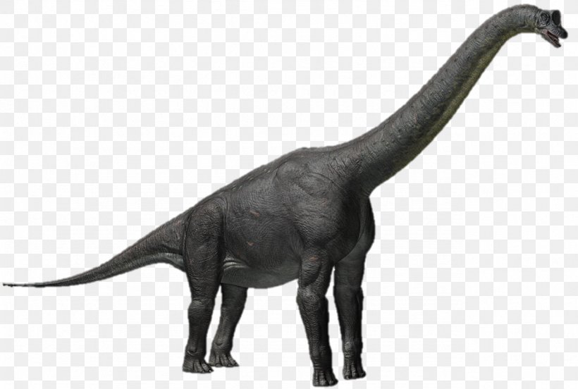 Alamosaurus Apatosaurus Triceratops Sauroposeidon Tyrannosaurus, PNG, 1279x862px, Alamosaurus, Animal Figure, Apatosaurus, Brachiosaurus, Clash Of The Dinosaurs Download Free