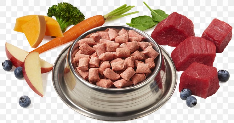 Cat Food Raw Foodism Dog Vegetarian Cuisine, PNG, 876x460px, Cat, Animal, Animal Feed, Canning, Cat Food Download Free