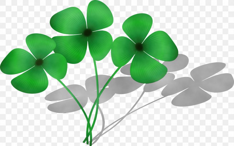 Saint Patricks Day, PNG, 3000x1875px, Watercolor, Clover, Drawing, Flower, Flowering Plant Download Free