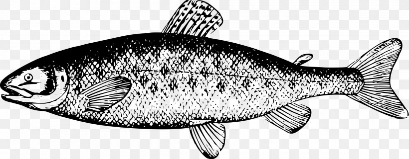 Salmon Black And White River Leven, Dunbartonshire Clip Art, PNG, 2400x938px, Salmon, Black And White, Drawing, Fauna, Fish Download Free