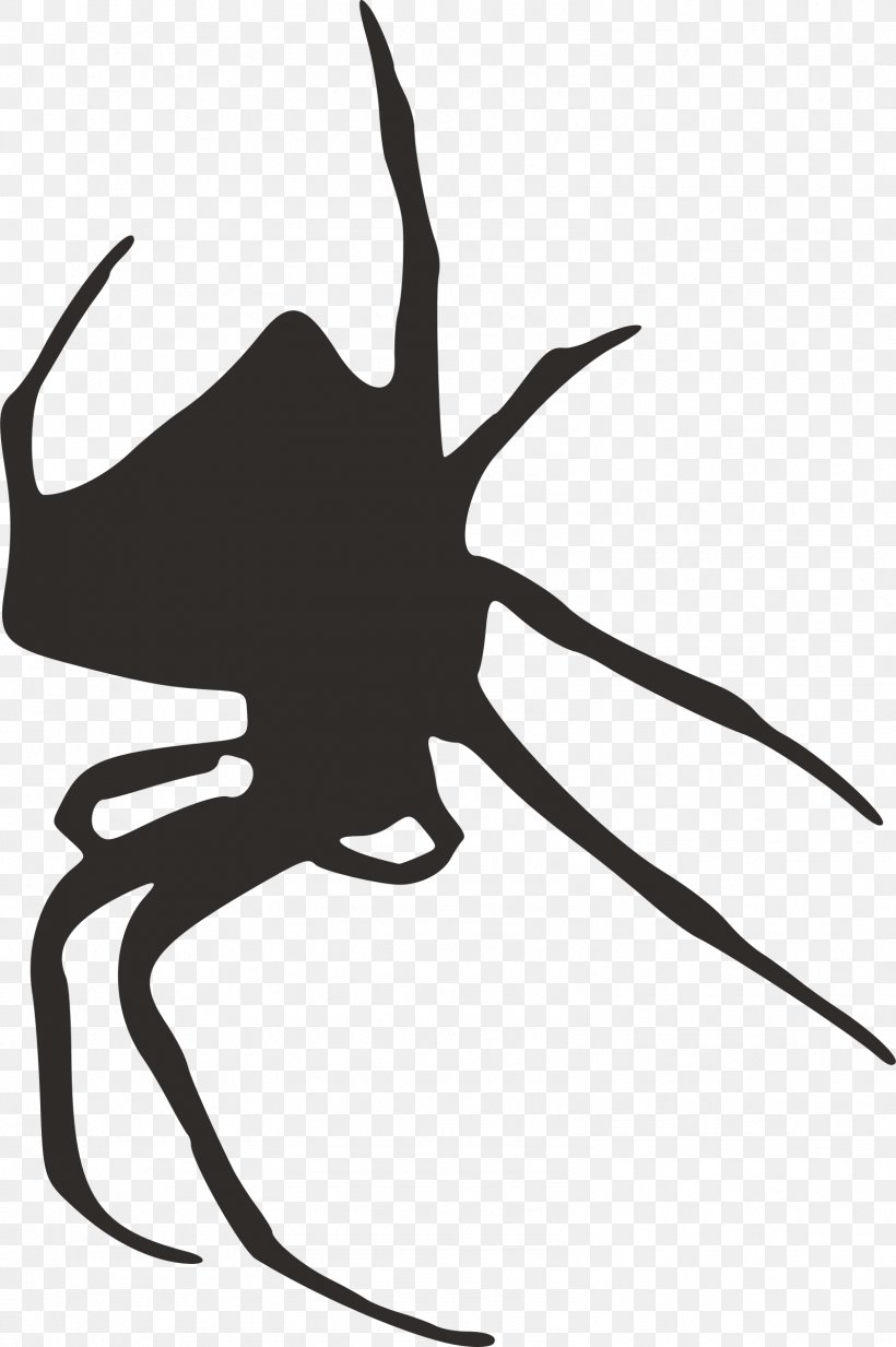 Spider Web Silhouette Clip Art, PNG, 1596x2400px, Spider, Animal, Artwork, Black And White, Color Download Free