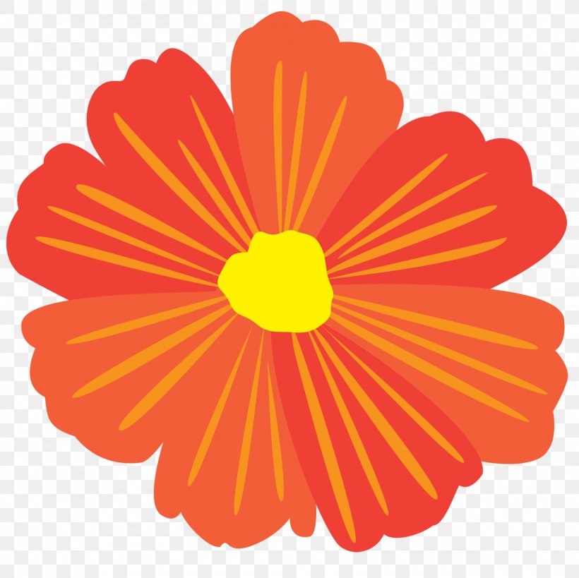 Transvaal Daisy Chrysanthemum Cut Flowers Line Sunflower M, PNG, 1600x1600px, Transvaal Daisy, Chrysanthemum, Chrysanths, Cut Flowers, Daisy Family Download Free