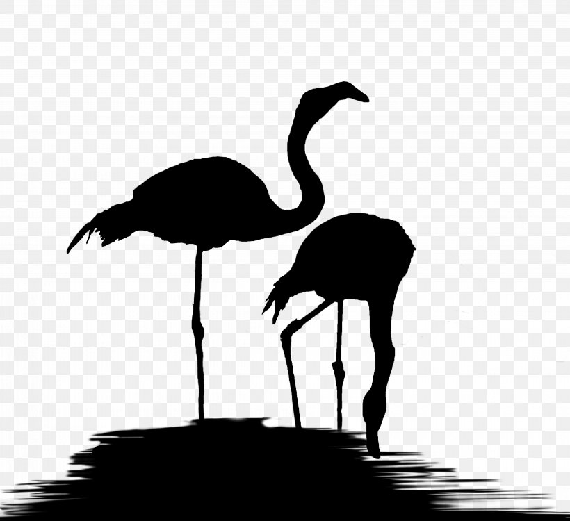 Common Ostrich Water Bird Beak Black & White, PNG, 4063x3719px, Common Ostrich, Beak, Bird, Black White M, Blackandwhite Download Free