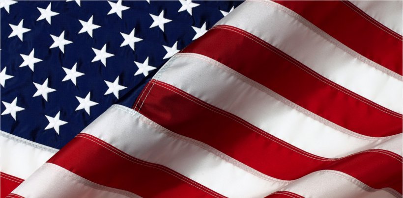 Flag Of The United States Bald Eagle Desktop Wallpaper, PNG, 1396x688px, United States, Aspect Ratio, Bald Eagle, Eagle, Flag Download Free
