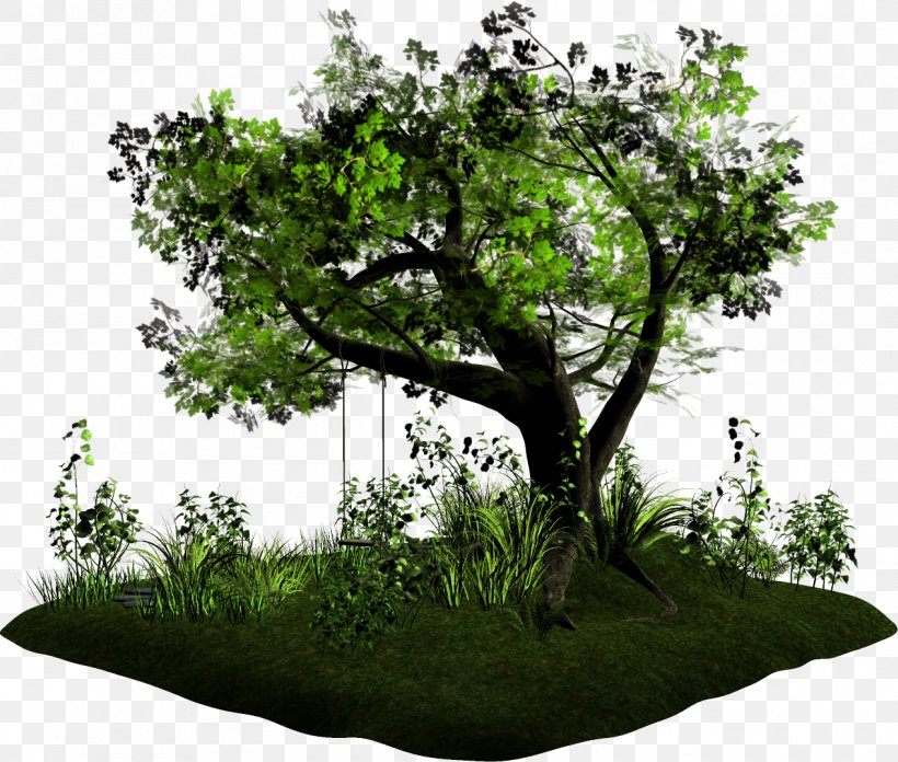 Tree Blog Bonsai Houseplant Mother, PNG, 1267x1076px, Tree, Animal, Blog, Bonsai, Branch Download Free