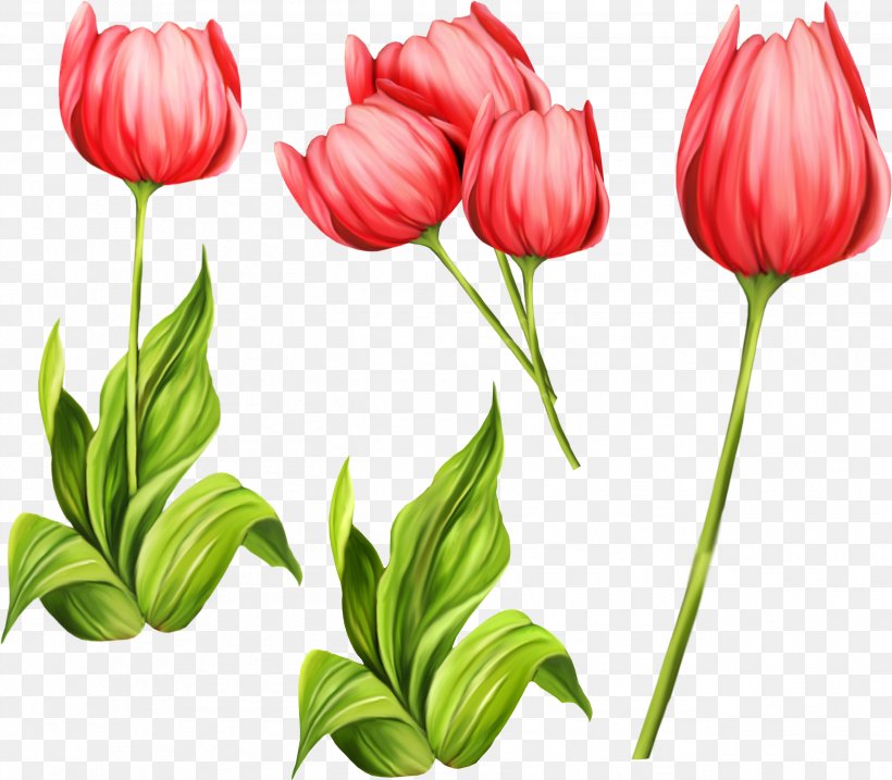 Tulip Flower Clip Art, PNG, 2594x2271px, Tulip, Cake, Cut Flowers, Flower, Flowering Plant Download Free