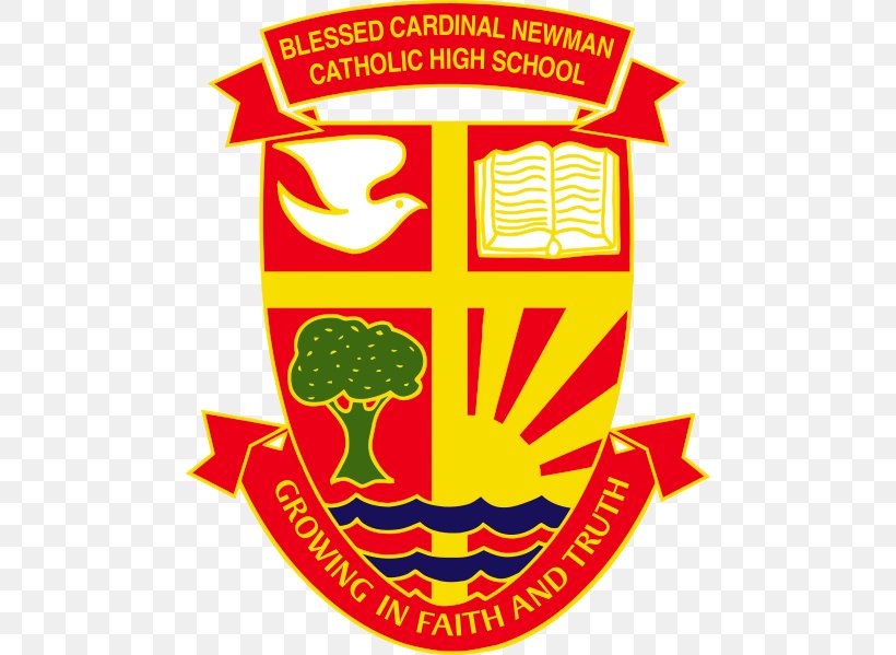 Blessed Cardinal Newman Catholic High School Toronto Catholic District School Board Education, PNG, 480x599px, School, Area, Artwork, Brand, Catholic School Download Free