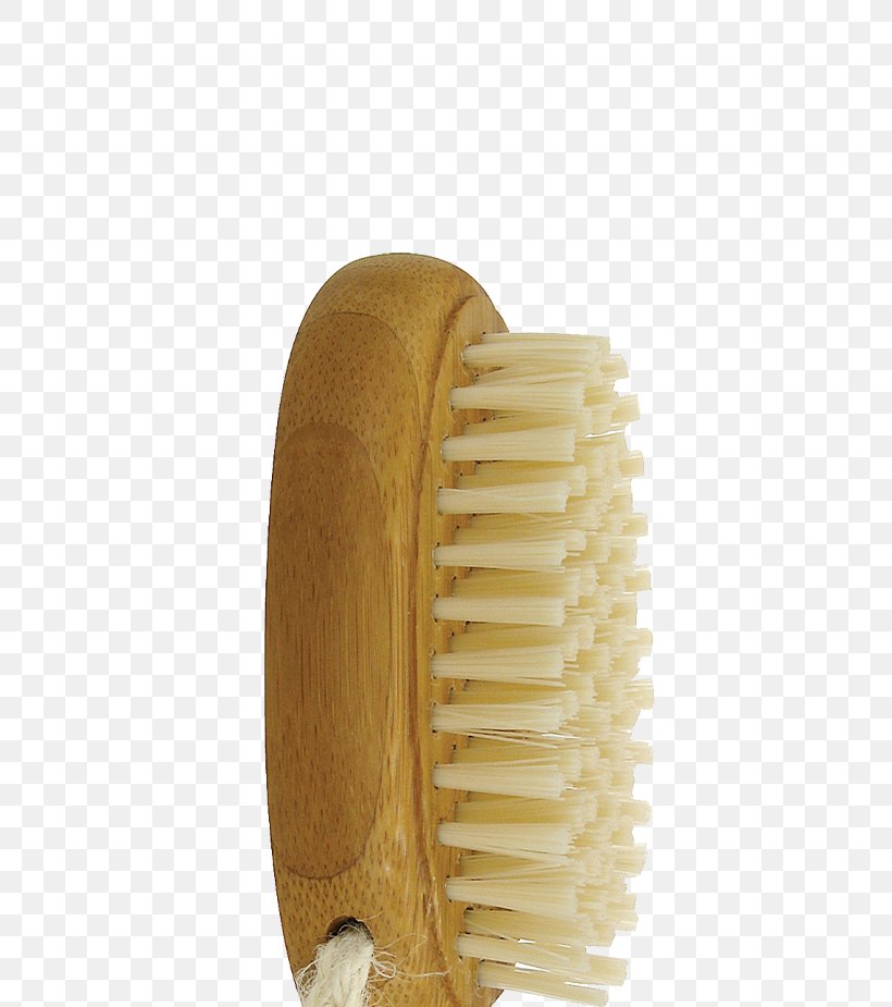 Brush, PNG, 740x925px, Brush, Hardware Download Free